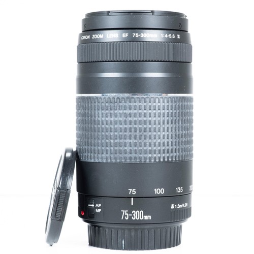 Canon 300mm 5 - f/4.0-5.6, iii