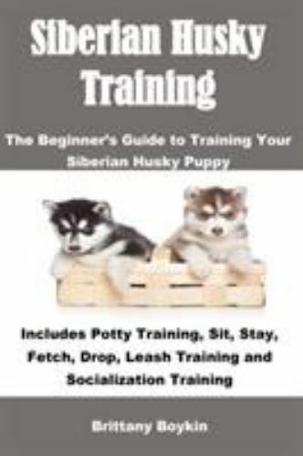 Siberian husky training the - husky,