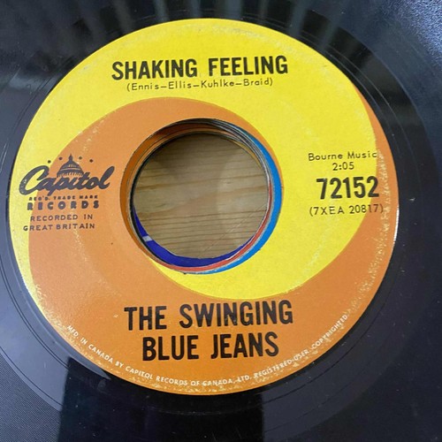 The swinging blue jeans - the,