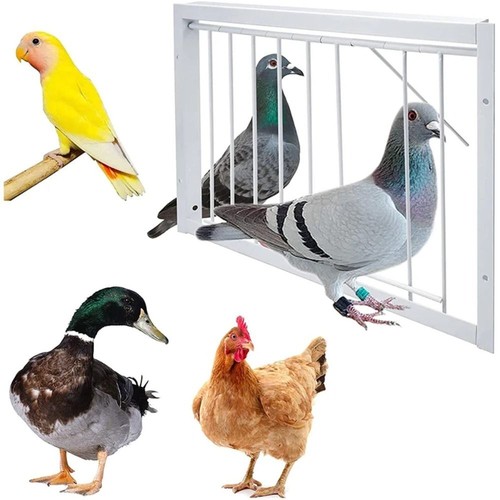 1pc single entrance - single,