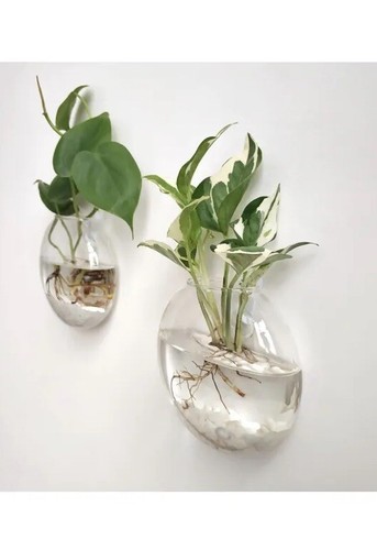 Wall hanging plastic planters - wall,