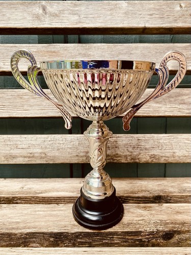 Silver trophy tall - 🏆,