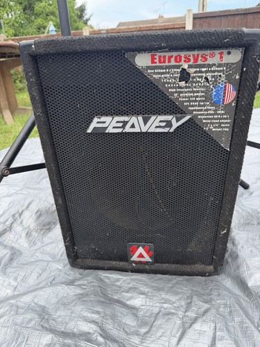 Peavey eurosys pair - eurosys, 1