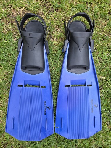 Dolphin sports swim - dolphin,