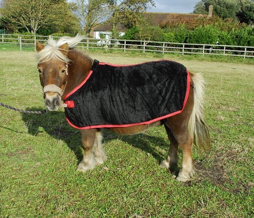 Rhinegold small pony coral - small,