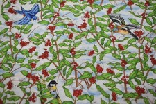 Stella Blue SSI Cherry Tree