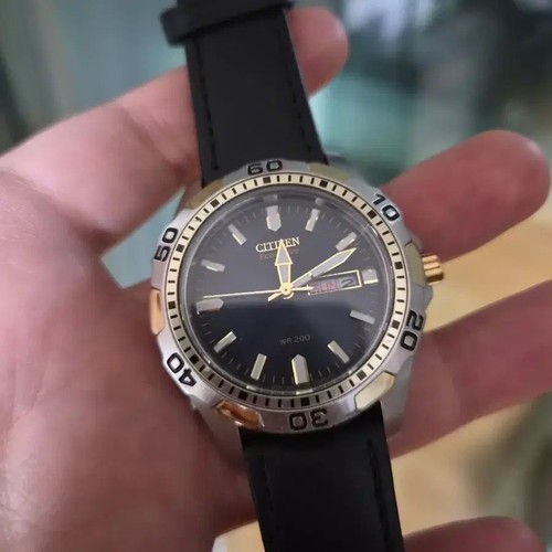 2004 citizen eco - citizen, diver