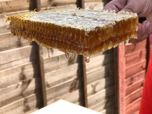 Raw honeycomb direct from the - honeycomb,