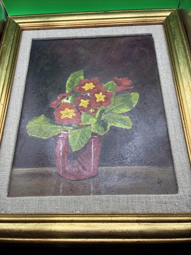 Polyanthus flower original - polyanthus,