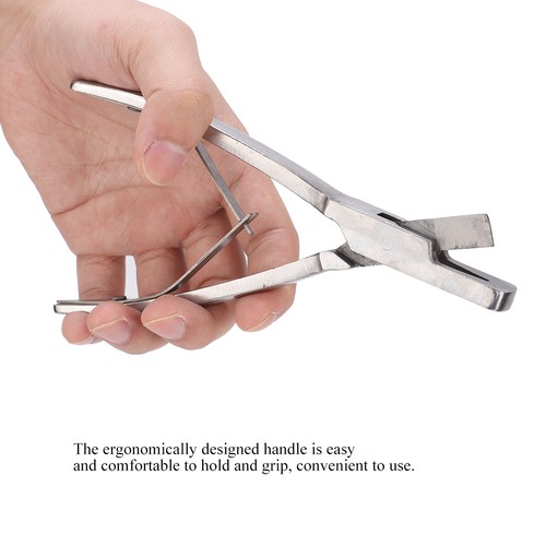 Stainless steel pig - (v,