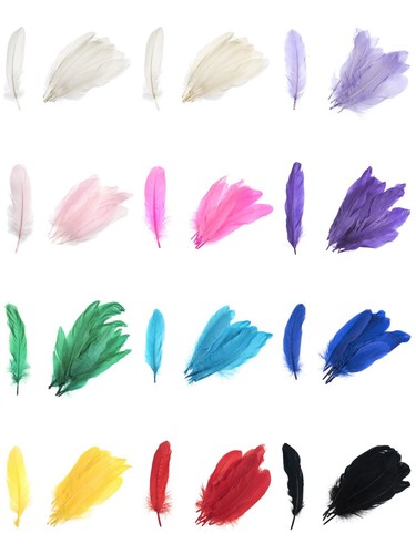 Craft feathers coloured pk - craft,
