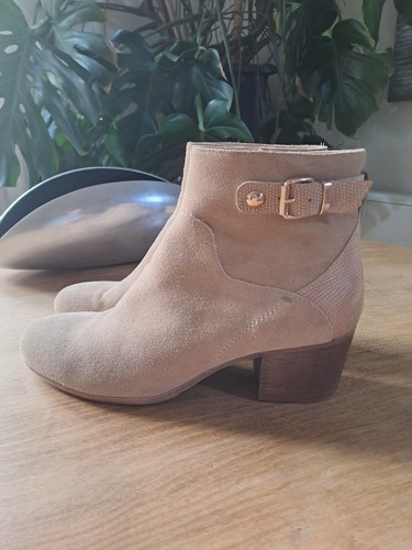 Celtic suede ankle - &,