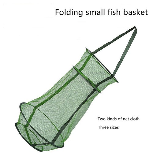 Fish accessories shrimp - fish,