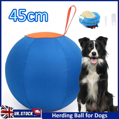 Herding ball for - ball, 45cm
