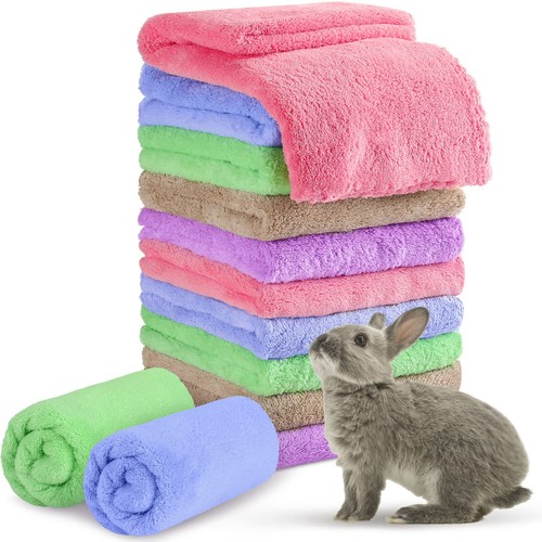 Tatuo pack guinea pig - pack,