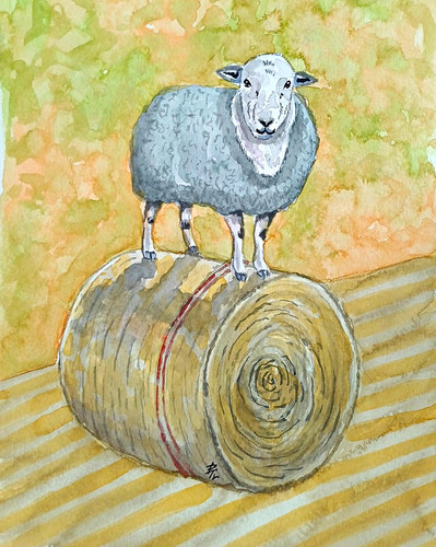 Sheep hay bale - on, bale,