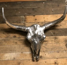 Long horn Skull Polished