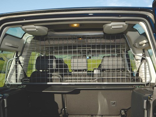Half height mesh - mesh, dog