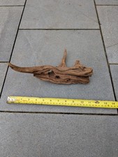 Bogwood / Driftwood Aquarium
