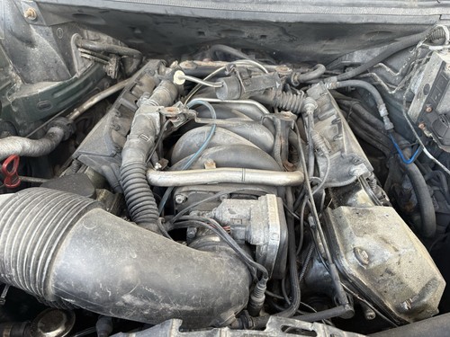 Landrover range rover m62b44 - range,