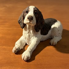 Border Fine Arts Spaniel Pup