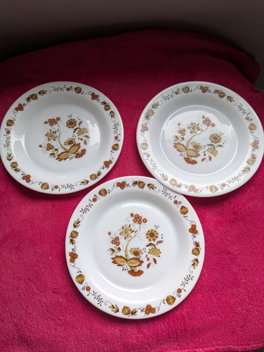 Arcopal brown onion pattern - onion,