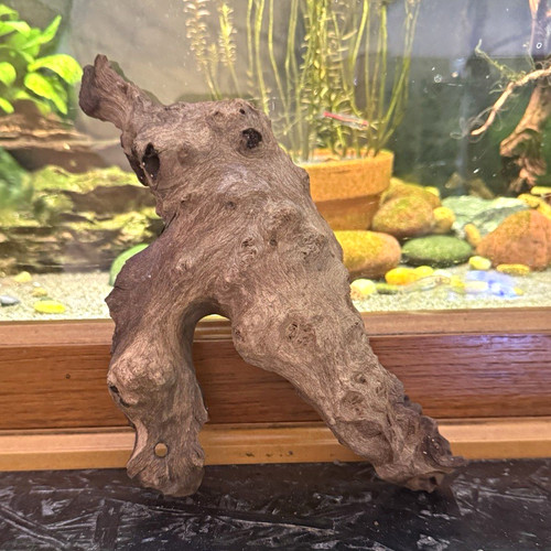 Natural aquarium driftwood - natural,