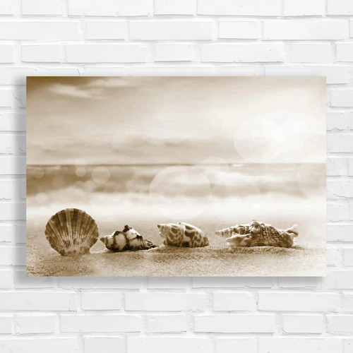 Coastal inspiration sea shells - sea,