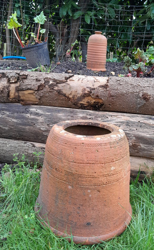 Vintage rhubarb kale forcer - rhubarb,