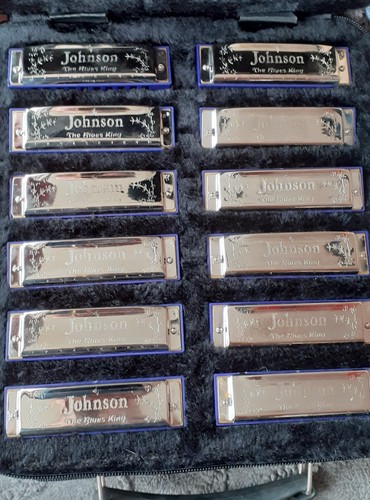 Johnson harmonica the blues - harmonica,