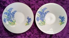 Bluebell English Bone China x2