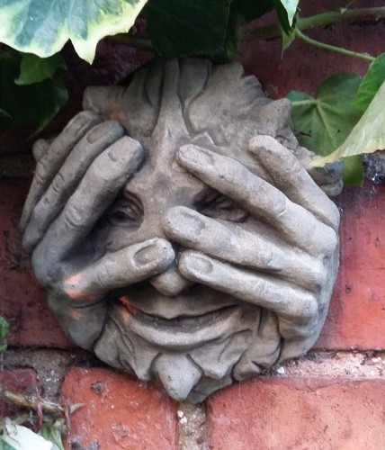 Stone garden peeping - 🇬🇧stone,