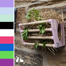 Rabbit, Guinea Pig, Small Pet