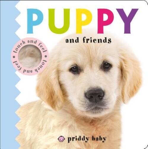 Puppy and friends touch - touch,