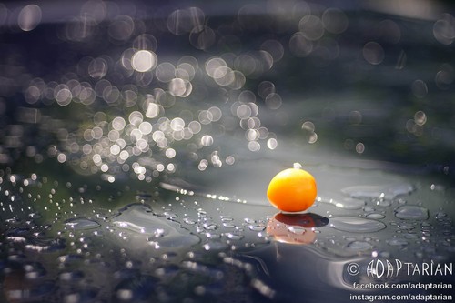 Trioplan bokeh isco - trioplan,