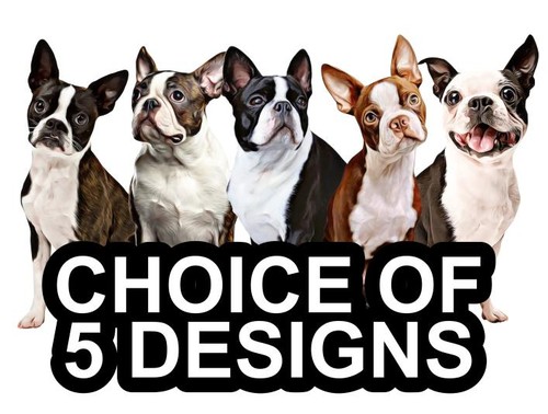 Boston terrier self adhesive - terrier,