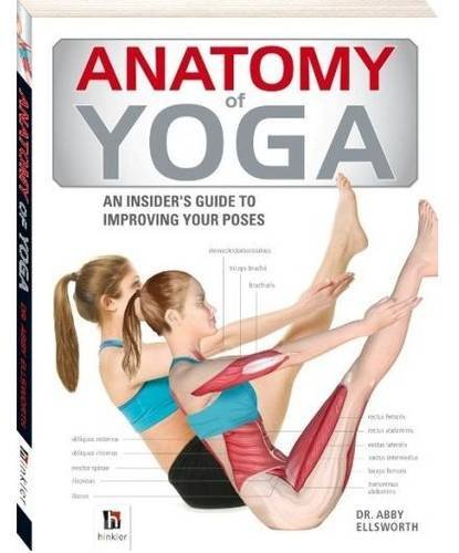 Anatomy yoga - anatomy, of