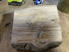 Holly Bowl Blank Wood Turning