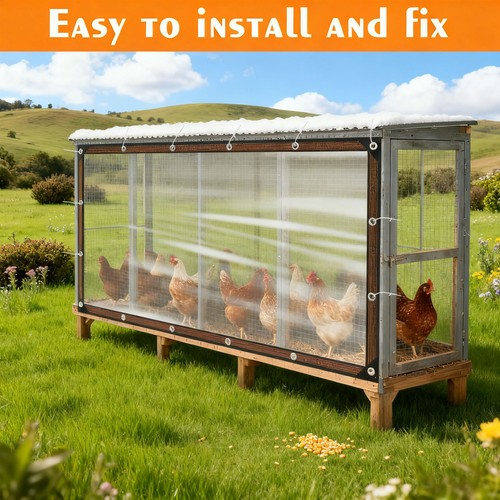 Chicken coop cover for winter - chicken,