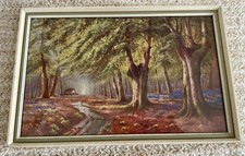 Daniel Sherrin Framed Art Print Fall Into The Woods 11x8inch  Gallery Wall Trees