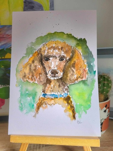 Standard poodle pen and - poodle,