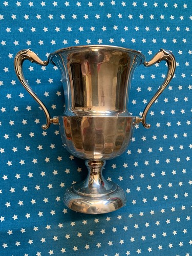 Solid silver trophy cup - cup, s