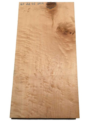 Bird eye maple wood - eye, bird's