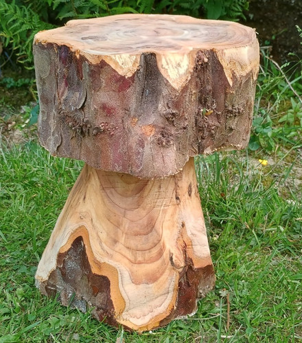 Yew mushroom stool - , outdoor