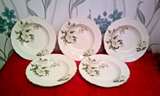 Alfred Meakin - Set of 5