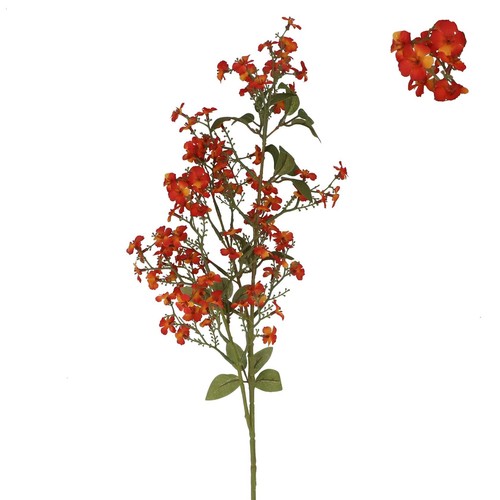 Dark orange phlox stem - phlox,