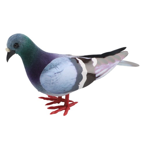 Simulation pigeon model - simulation,