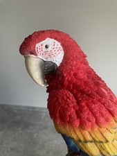 Vivid Arts - Exotic Birds