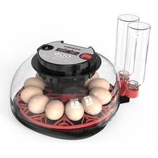 Egg Incubators for Hatching