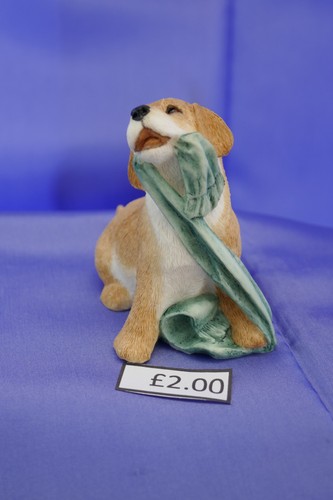 Sherratt simpson labrador - sherratt,
